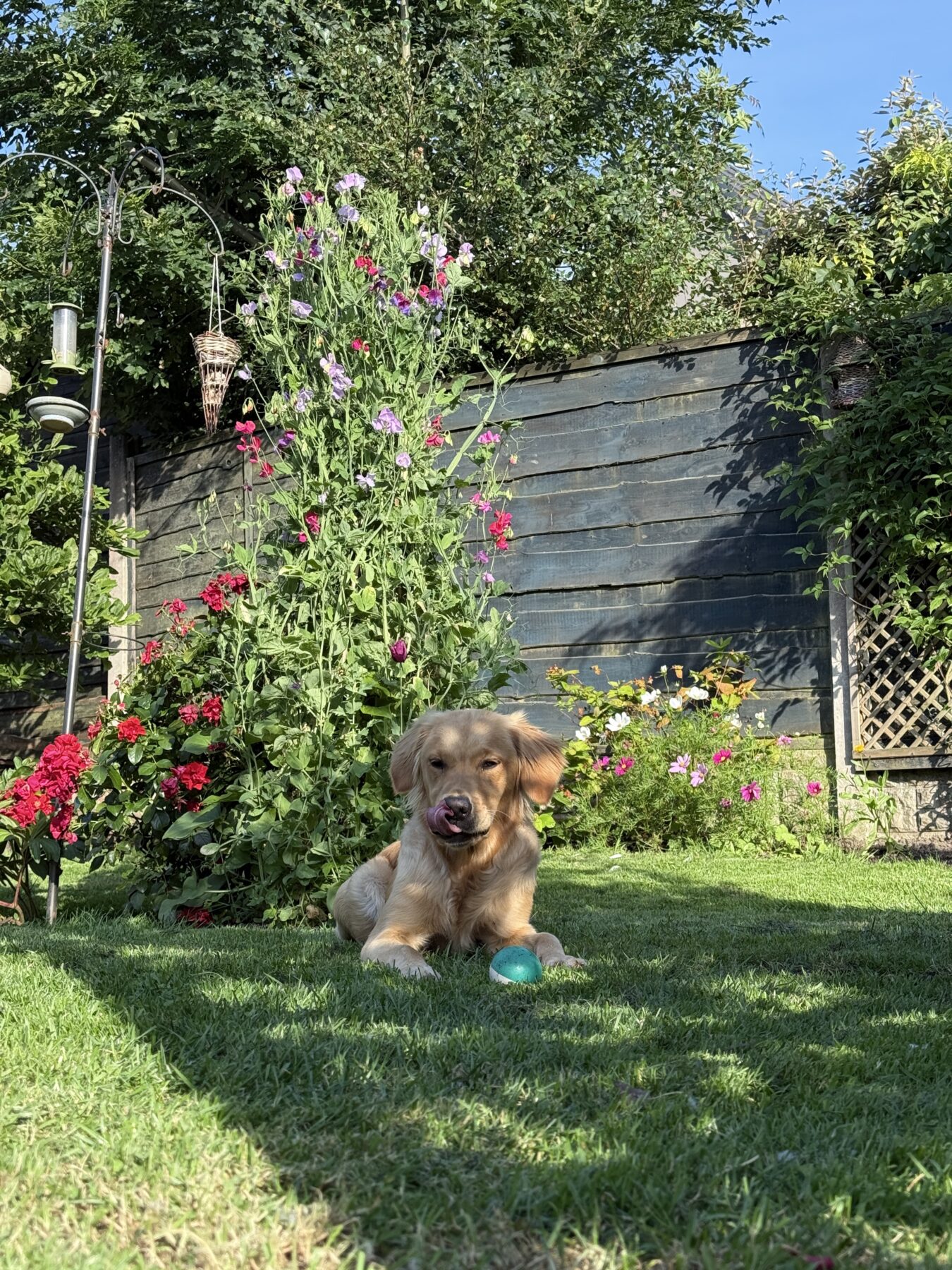 Gorgeous gardener